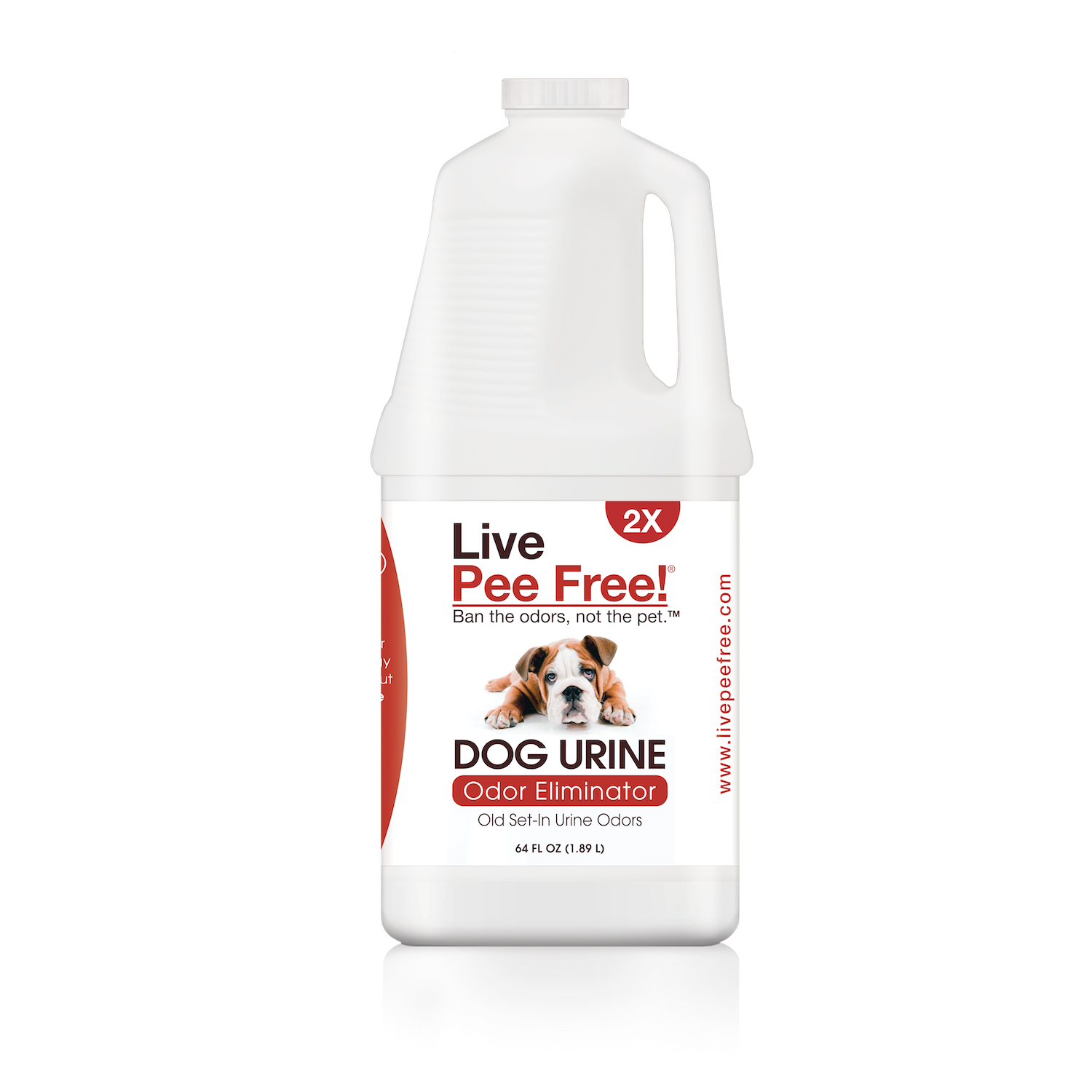 Live Odor Free!® Dog Urine 2X