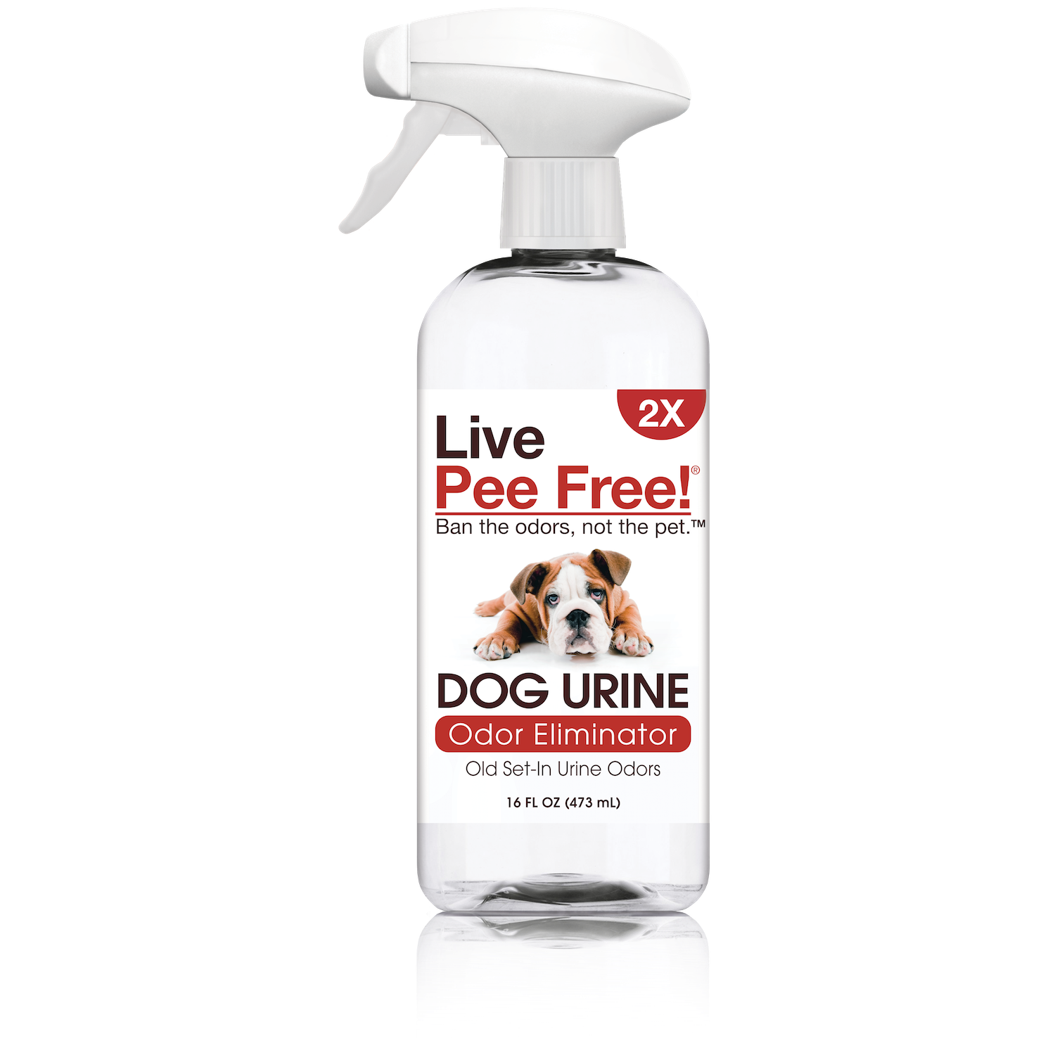 Live Odor Free!® Dog Urine 2X